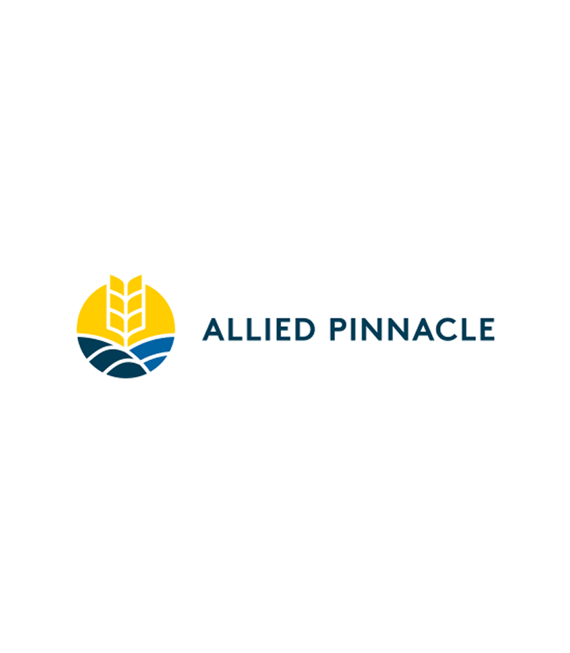Allied Pinnacle logo